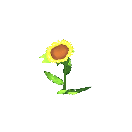 Sunflower 2